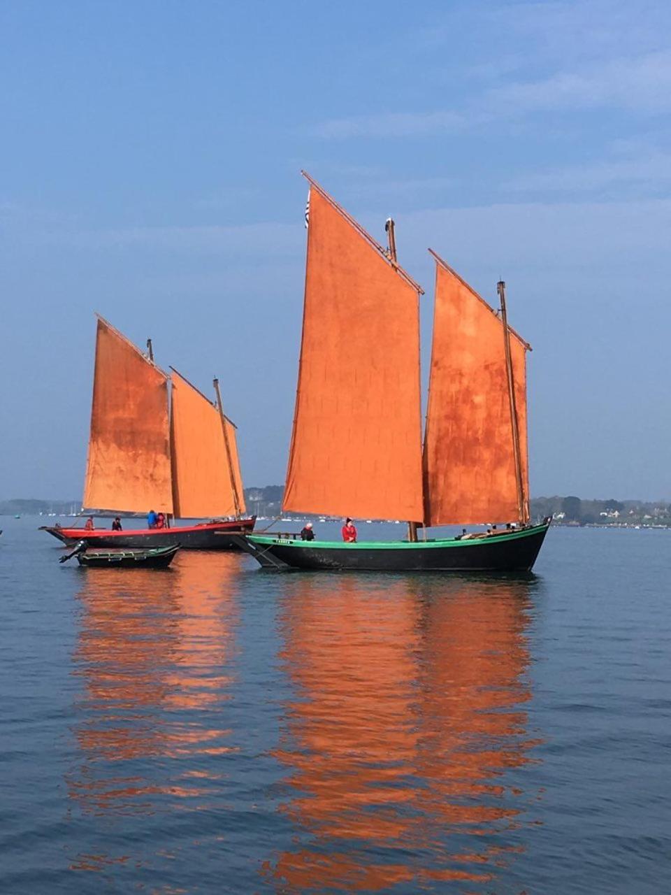 1 2 3 Chambres Entre La Presqu Ile De Rhuys Et Le Golfe Du Morbihan Theix ภายนอก รูปภาพ
